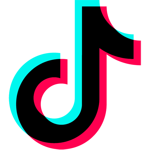  TikTok sekėjai (paprasti sekėjai) 