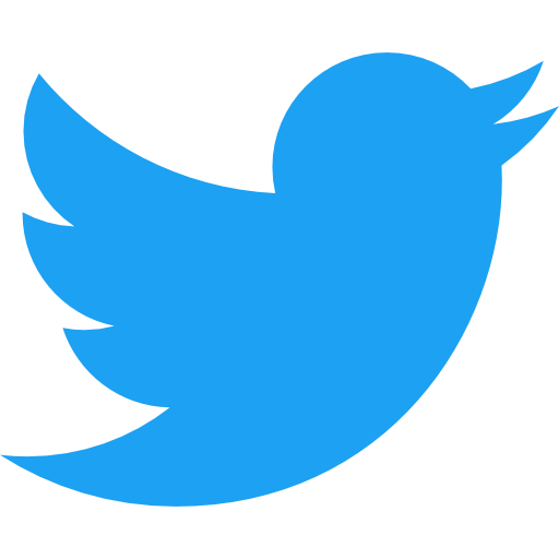  Twitter sekėjai (paprasti sekėjai) 